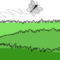 st05